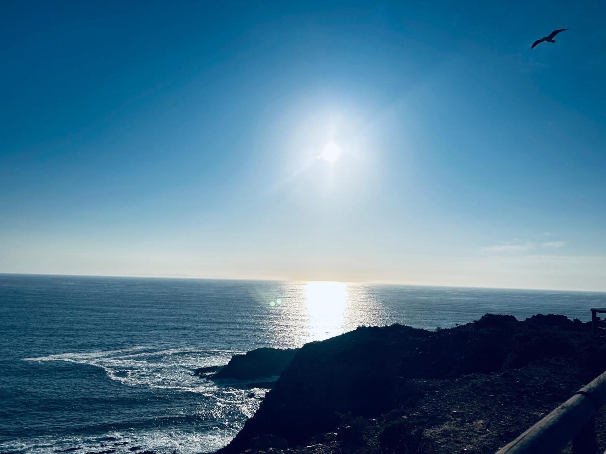Casa Flora - Vale Da Telha - Nature - Surf & Sun Aljezur Dış mekan fotoğraf